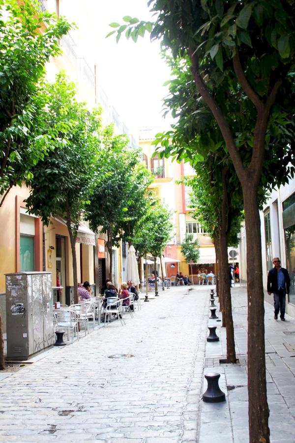 Ferienwohnung Plaza Nueva Terraza Sevilla Exterior foto